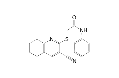 2-[(3-cyano-5,6,7,8-tetrahydro-2-quinolinyl)sulfanyl]-N-phenylacetamide