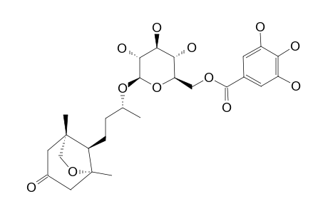 MACARANGIOSIDE-C;(9R)-MEGASTIGMAN-3-ON-5,11-EPOXY-9-OL-9-O-(6'-O-GALLOYL)-BETA-D-GLUCOPYRANOSIDE