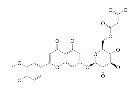CHRYSOERIOL_7-O-BETA-(6-O-MALONYL)-GLUCOPYRANOSIDE
