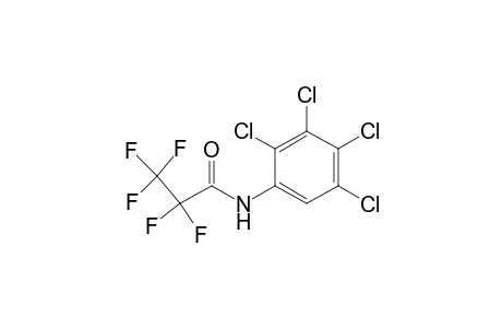 N-pentafluoropropionyl 2,3,4,5-tetrachloroaniline