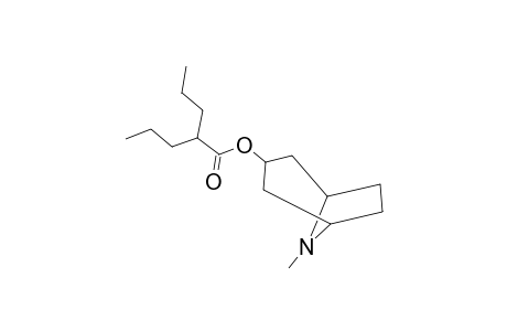 Pentanoic acid, 2-propyl-, 8-methyl-8-azabicyclo[3.2.1]oct-3-yl ester, endo-