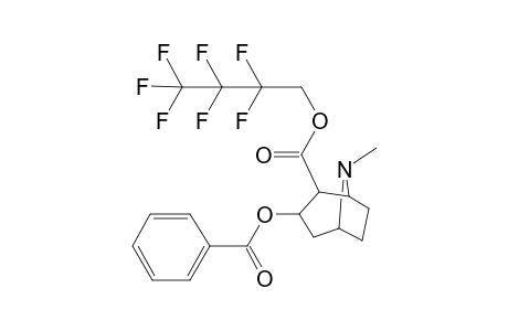 Cocaine-M (benzoylecgonine) HFPOL
