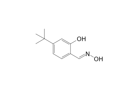 4-tert-Butyl-2-hydroxybenzaldehyde oxime