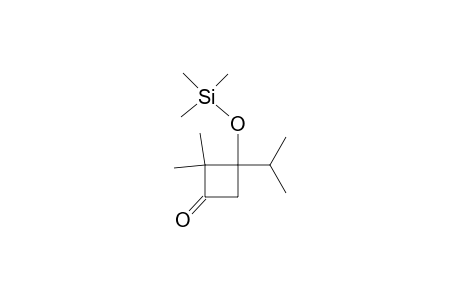 2,2-Dimethyl-3-isopropyl-3-(trimethylsiloxy)cyclobutanone