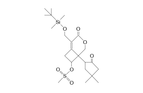 6-(4,4-Dime-cyclopentanon-2-yl)-7-hydroxy-2-([T-butyl-dime-silyl]me-4-oxa-bicyclo(4.2.0)oct-1-ene 7-methanesulfonate es