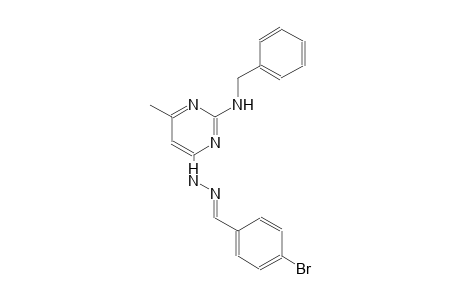 4-bromobenzaldehyde [2-(benzylamino)-6-methyl-4-pyrimidinyl]hydrazone