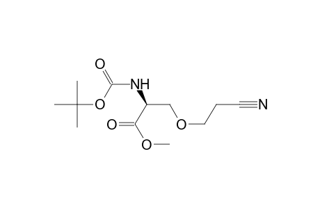 (2S)-2-(tert-butoxycarbonylamino)-3-(2-cyanoethoxy)propionic acid methyl ester