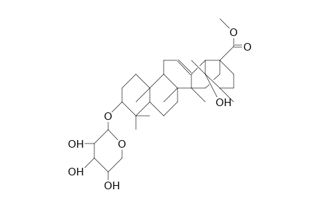 Ilexoside-B,methylester