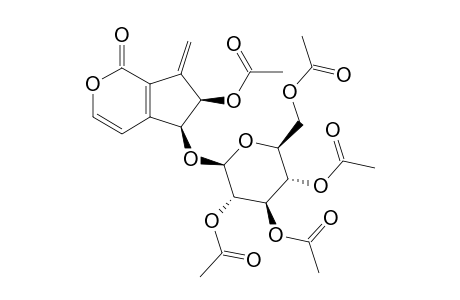 CHAENORRHINOSIDE-PENTAACETATE