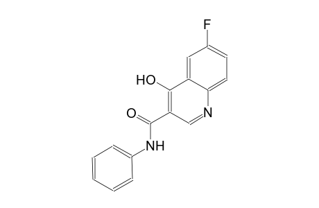 3-quinolinecarboxamide, 6-fluoro-4-hydroxy-N-phenyl-