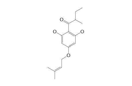 1-(2-METHYLBUTANONE)-4-O-PRENYL-PHLOROGLUCINOL
