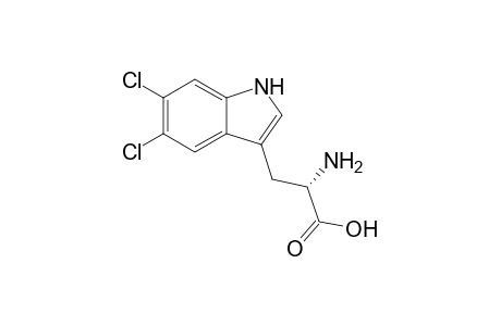 (2S)-2-amino-3-(5,6-dichloro-1H-indol-3-yl)propanoic acid