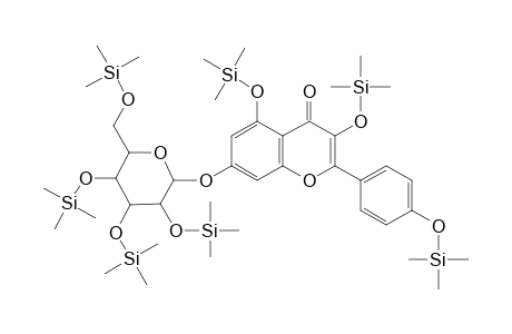 Kaempferol 7-O-.beta.-glucopyranoside, hepta-TMS