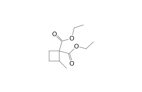 2-Methylcyclobutane-1,1-dicarboxylic acid diethyl diester