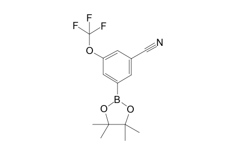 3-(4,4,5,5-Tetramethyl-1,3,2-dioxaborolan-2-yl)-5-(trifluoromethoxy)benzonitrile