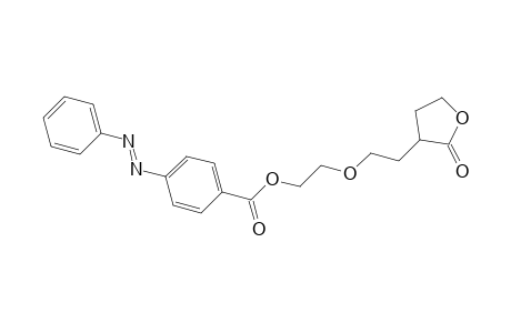 Benzoic acid, 4-(phenylazo)-, 2-[2-(tetrahydro-2-oxo-3-furanyl)ethoxy]ethyl ester