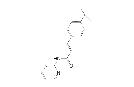 (2E)-3-(4-tert-butylphenyl)-N-(2-pyrimidinyl)-2-propenamide