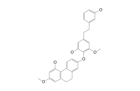 SHANCILIN;7-O-[4'-(3',3''-DIHYDROXY-5'-METHOXYBIBENZYL)]-4-HYDROXY-2-METHOXY-9,10-DIHYDROPHENANTHRENE