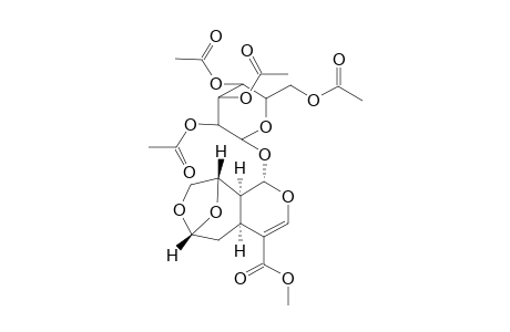 Methyl (1S,4aS,6R,9S,9aS)-6,9-epoxy-1-(2',3',4',6'-tetraacetyl-.beta.-d-glucopyranosyloxy)-4a,9a-dihydro-1H-oxepano[4,5-c]pyran-4-carboxylate