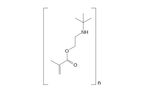 Poly(tert-butylaminoethyl methacrylate)