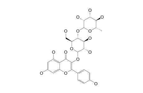 KAEMPFEROL-3-O-[(1'''->4'')-RHAMNOPYRANOSYL-GLUCOSIDE]