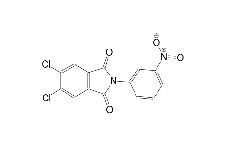 5,6-dichloro-2-(3-nitrophenyl)-1H-isoindole-1,3(2H)-dione