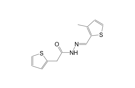 2-thiopheneacetic acid, 2-[(E)-(3-methyl-2-thienyl)methylidene]hydrazide