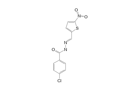 4-CHLORO-BENZOIC-ACID-[(5-NITRO-THIOPHEN-2-YL)-METHYLENE]-HYDRAZIDE
