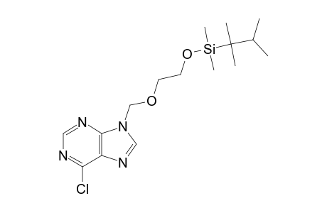 6-CHLORO-9-[2-[DIMETHYL-(1,1,2-TRIMETHYL-PROPYL)-SILANOYLOXY]-ETHOXYMETHYL]-9H-PURINE