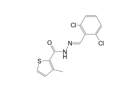 N'-[(E)-(2,6-dichlorophenyl)methylidene]-3-methyl-2-thiophenecarbohydrazide
