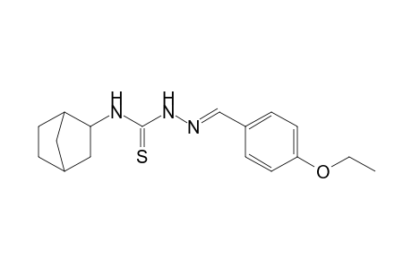 1-(p-ethoxybenzylidene)-4-(2-norbornyl)-3-thiosemicarbazide