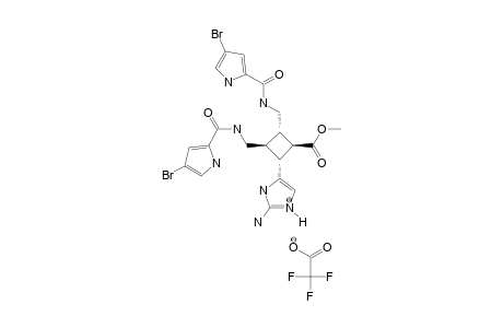 NAKAMURIC_ACID_METHYLESTER