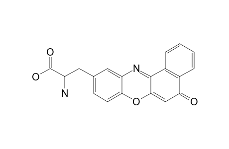 1,2-BENZO-8-ALANYL-3-PHENOXAZONE