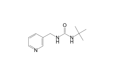 1-tert-butyl-3-[(3-pyridyl)methyl]urea
