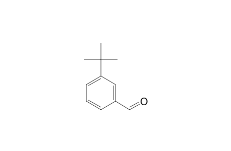 3-tert-Butylbenzaldehyde