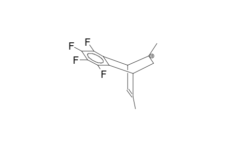 5,7-DIMETHYL-2,3-TETRAFLUOROBENZOBICYCLO[2.2.2]OCTA-2,7-DIEN-5-YL-CATION