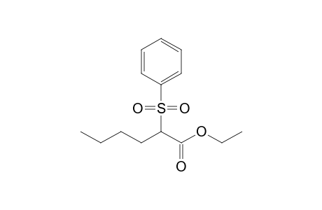 2-(benzenesulfonyl)hexanoic acid ethyl ester