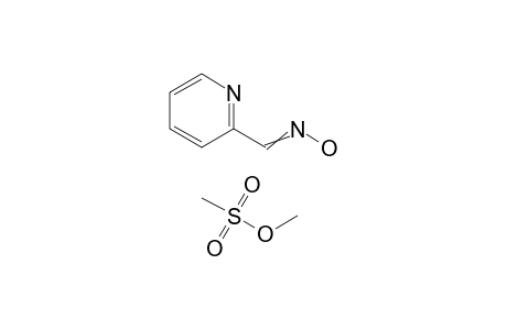 Pyridine-2-aldoxime methyl methanesulfonate