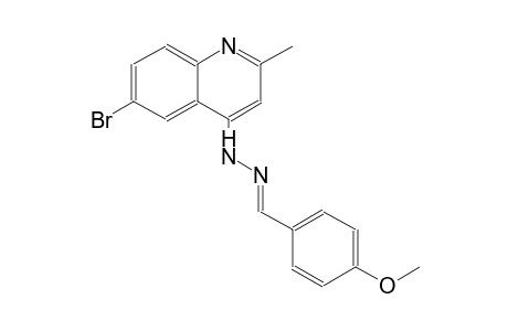 4-methoxybenzaldehyde (6-bromo-2-methyl-4-quinolinyl)hydrazone