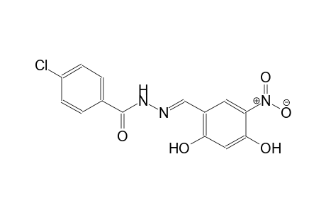 4-chloro-N'-[(E)-(2,4-dihydroxy-5-nitrophenyl)methylidene]benzohydrazide