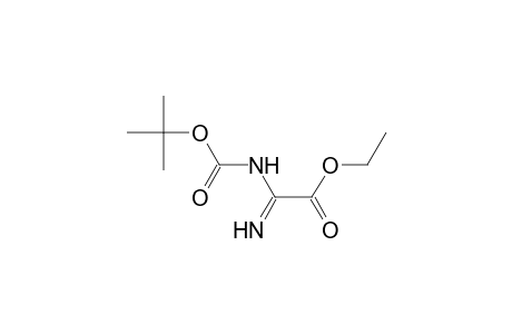 (2E)-2-amino-2-tert-butoxycarbonylimino-acetic acid ethyl ester