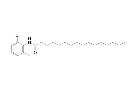 6'-chloro-o-hexadecanotoluidide