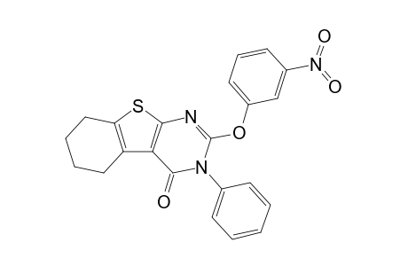 2-(3-nitrophenoxy)-3-phenyl-5,6,7,8-tetrahydro-[1]benzothiolo[2,3-d]pyrimidin-4-one