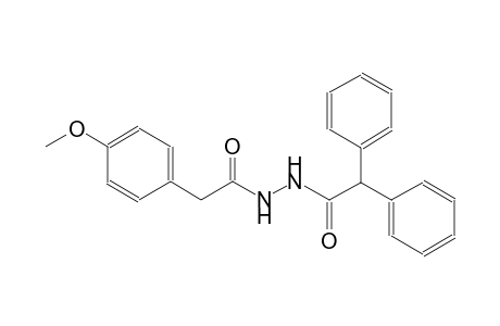 N'-(diphenylacetyl)-2-(4-methoxyphenyl)acetohydrazide