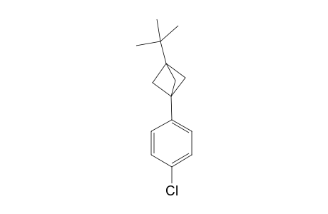 1-{3'-[(t-Butyl)bicyclo[1.1.1]pent-1'-yl]-4-chlorobenzene