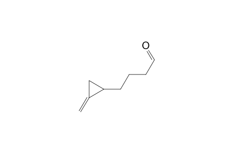 Butyraldehyde, 4-(methylenecyclopropyl)-