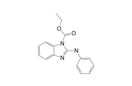 2-(phenylamino)benzimidazole-1-carboxylic acid ethyl ester