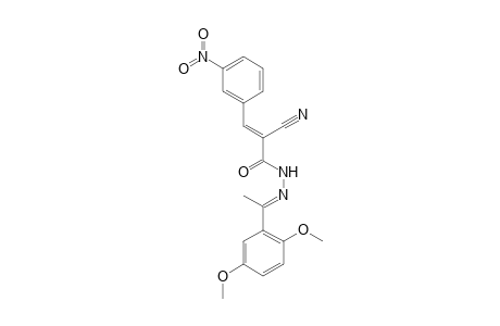 2-Cyano-N'-[1-(2,5-dimethoxyphenyl)ethylidene]-3-(3-nitrophenyl)acrylohydrazide