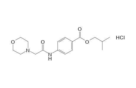 p-(2-morpholinoacetamido)benzoic acid, isobutyl ester, hydrochloride