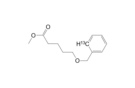 Methylester of 5-Benzyloxy-2-[13C]-pentanoic acid